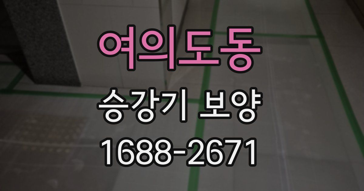여의도동 승강기 보양