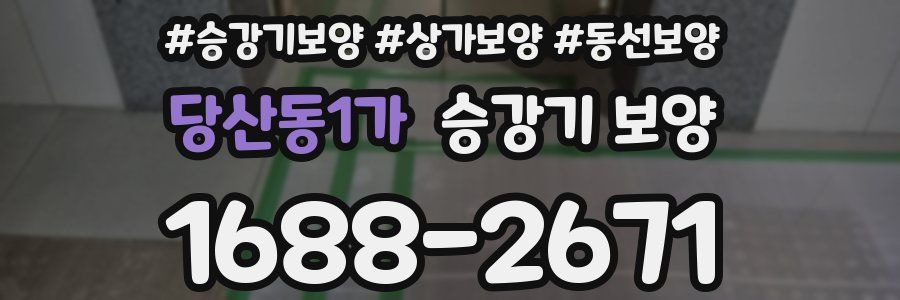 당산동1가 승강기 보양