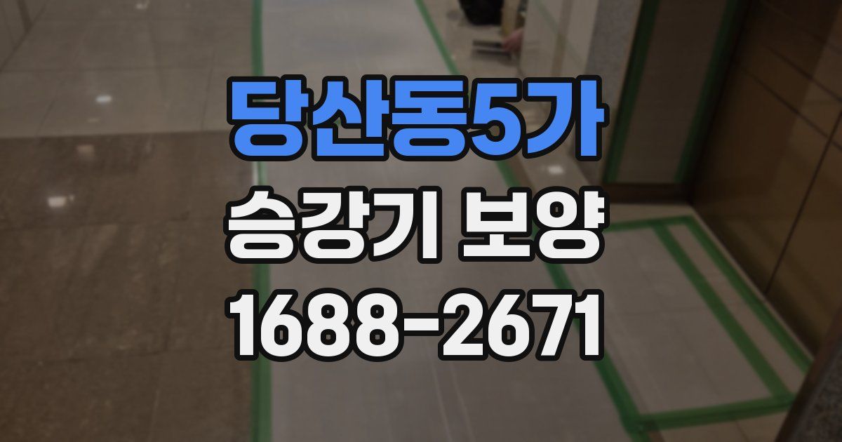당산동5가 승강기 보양