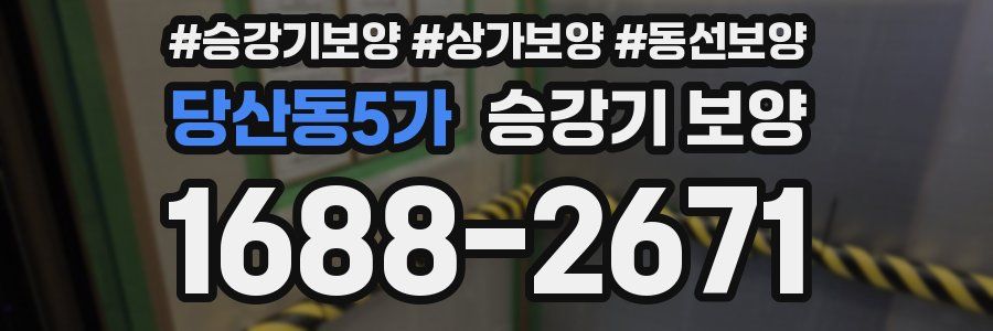 당산동5가 승강기 보양