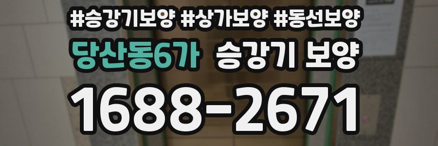 당산동6가 승강기 보양