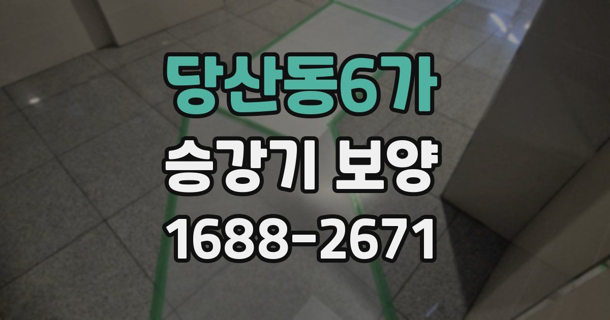 당산동6가 승강기 보양
