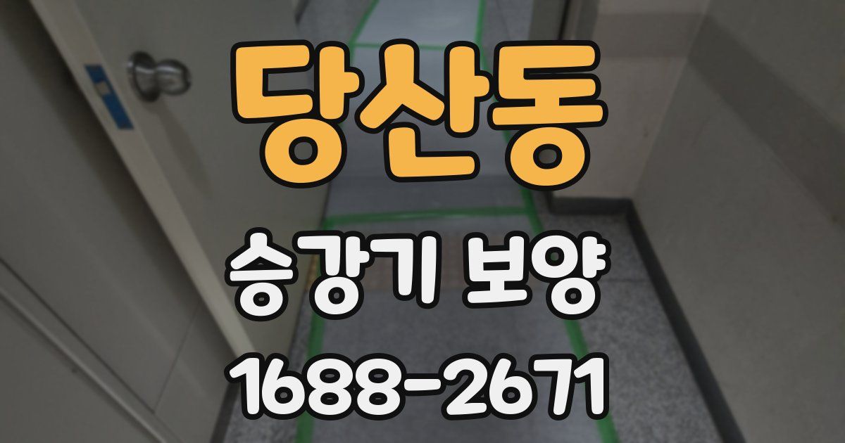 당산동 승강기 보양
