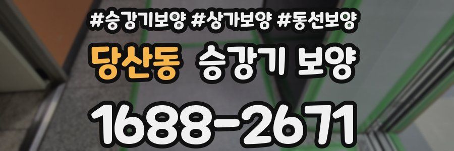 당산동 승강기 보양