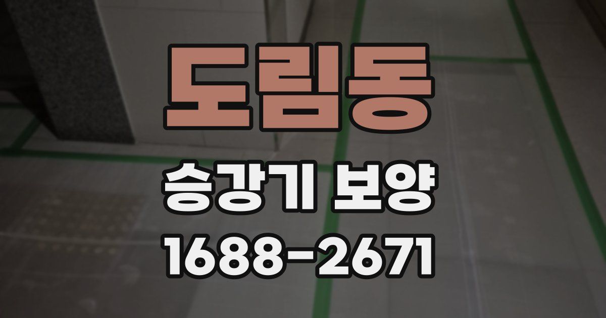 도림동 승강기 보양