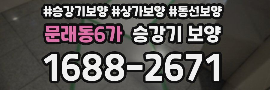 문래동6가 승강기 보양