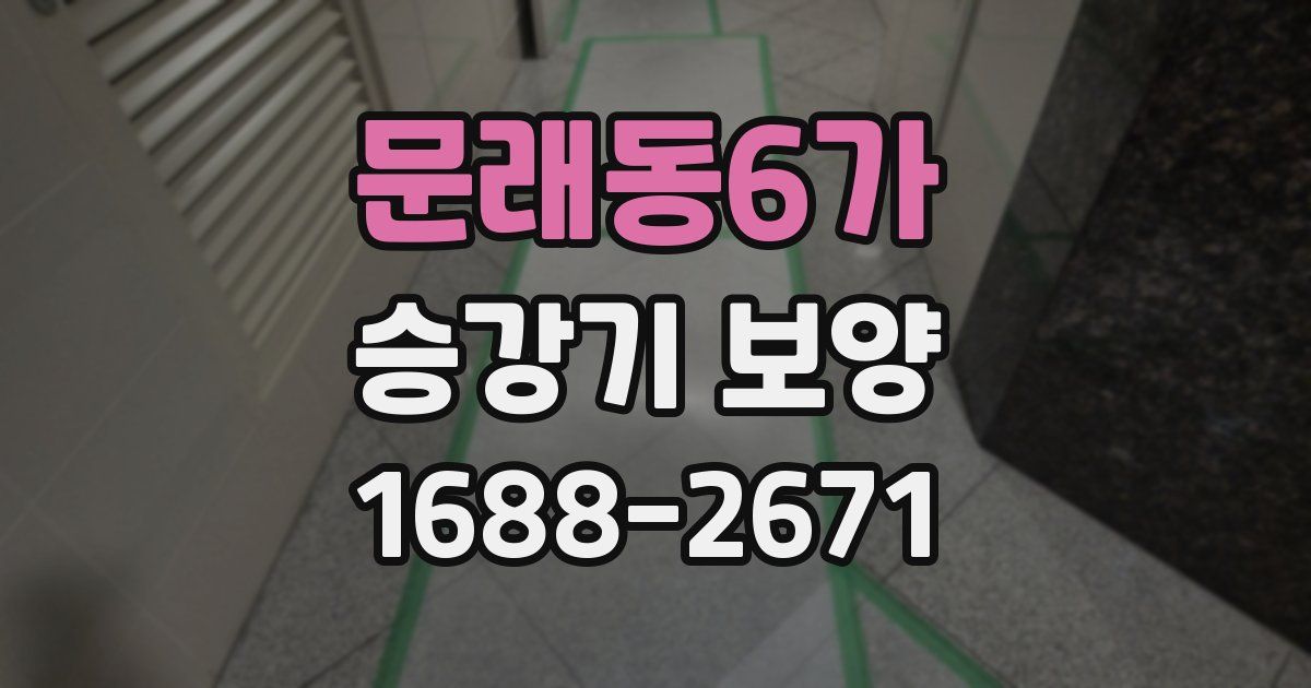 문래동6가 승강기 보양