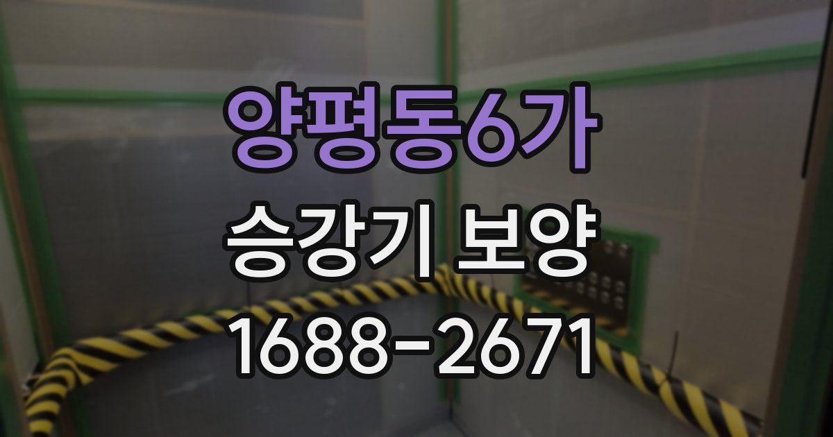 양평동6가 승강기 보양