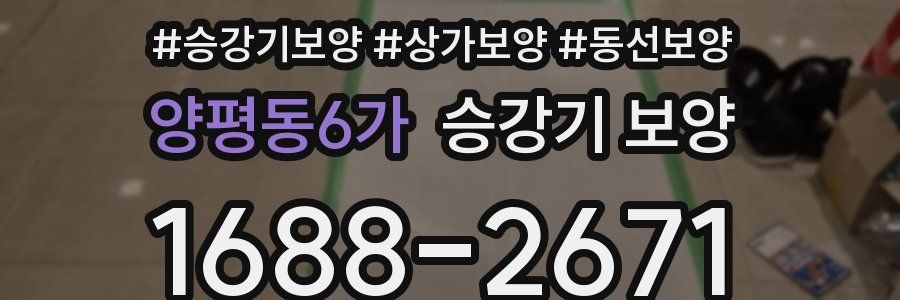 양평동6가 승강기 보양