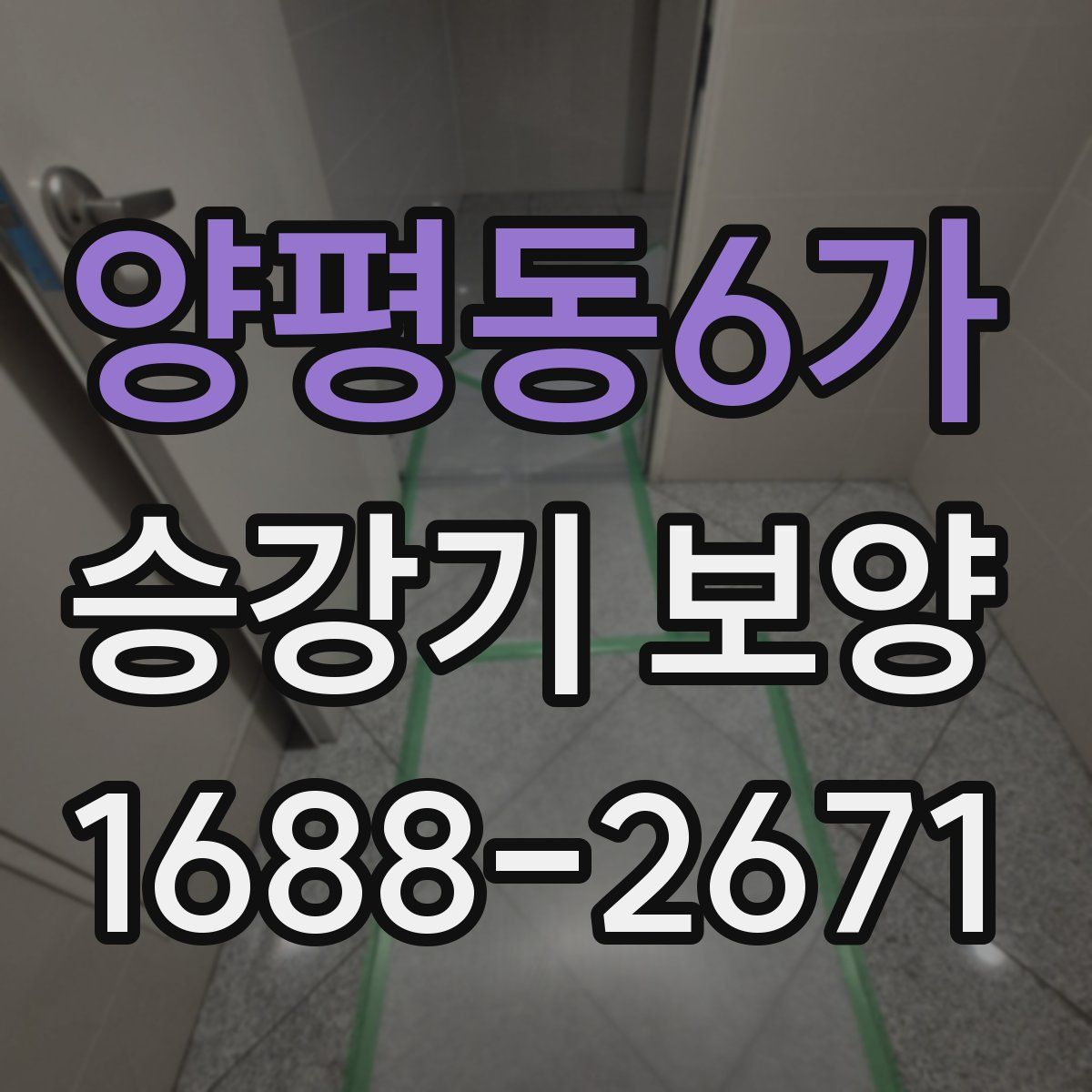 양평동6가 승강기 보양