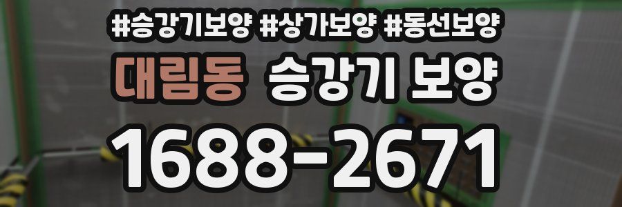 대림동 승강기 보양