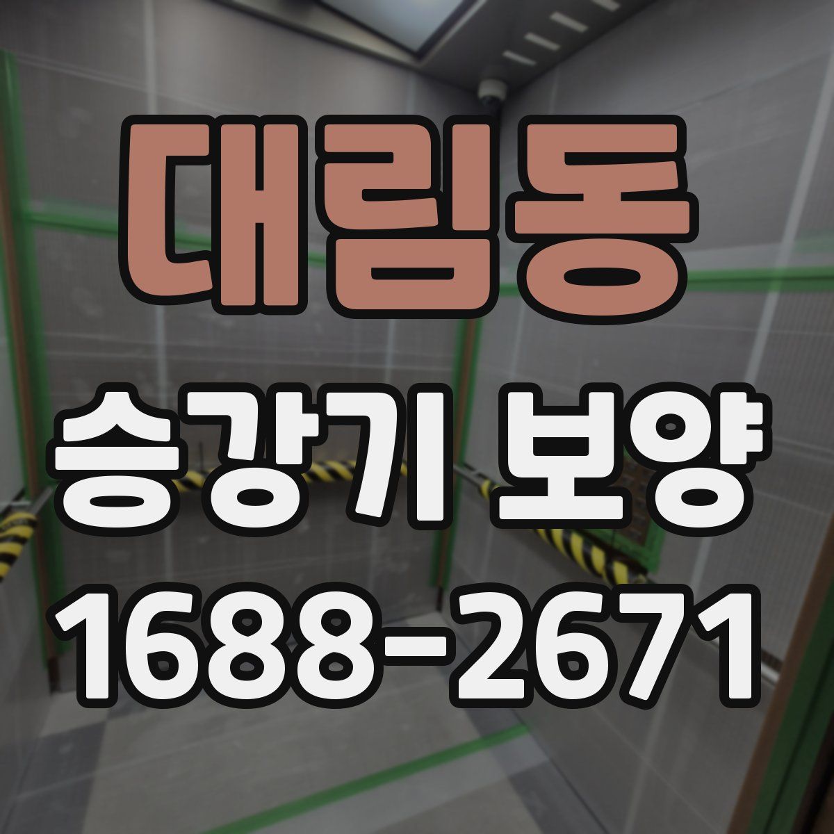 대림동 승강기 보양