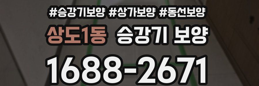 상도1동 승강기 보양