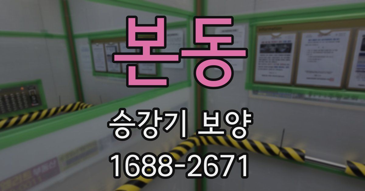 본동 승강기 보양