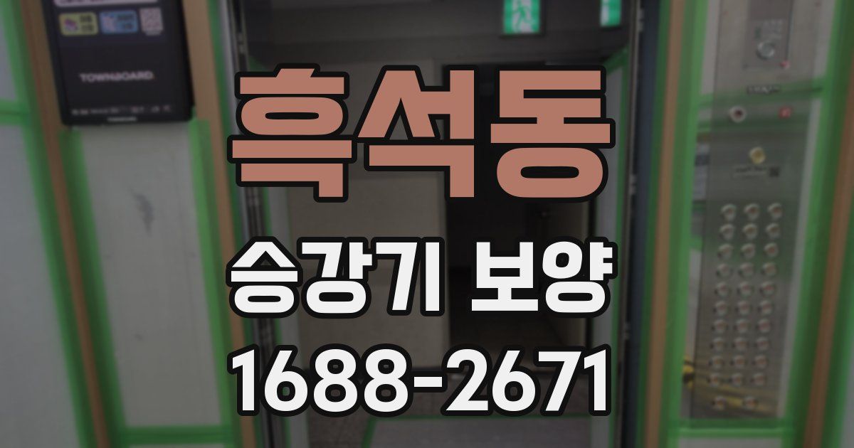 흑석동 승강기 보양