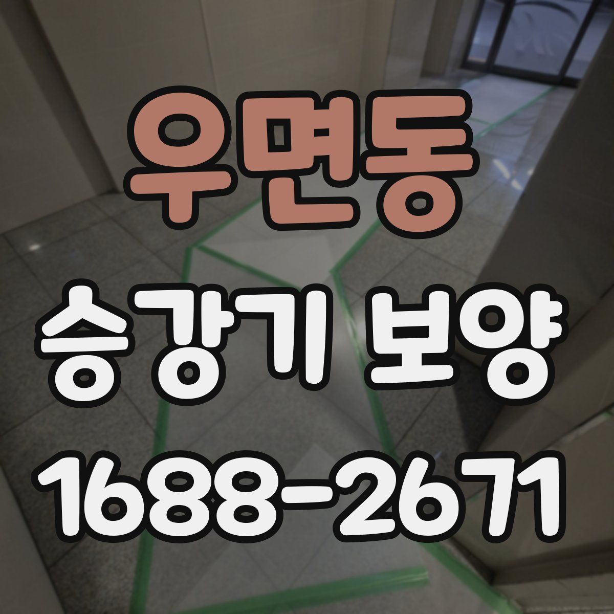 우면동 승강기 보양
