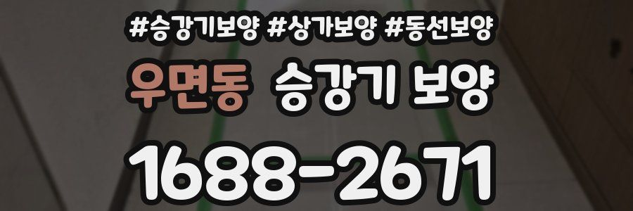 우면동 승강기 보양