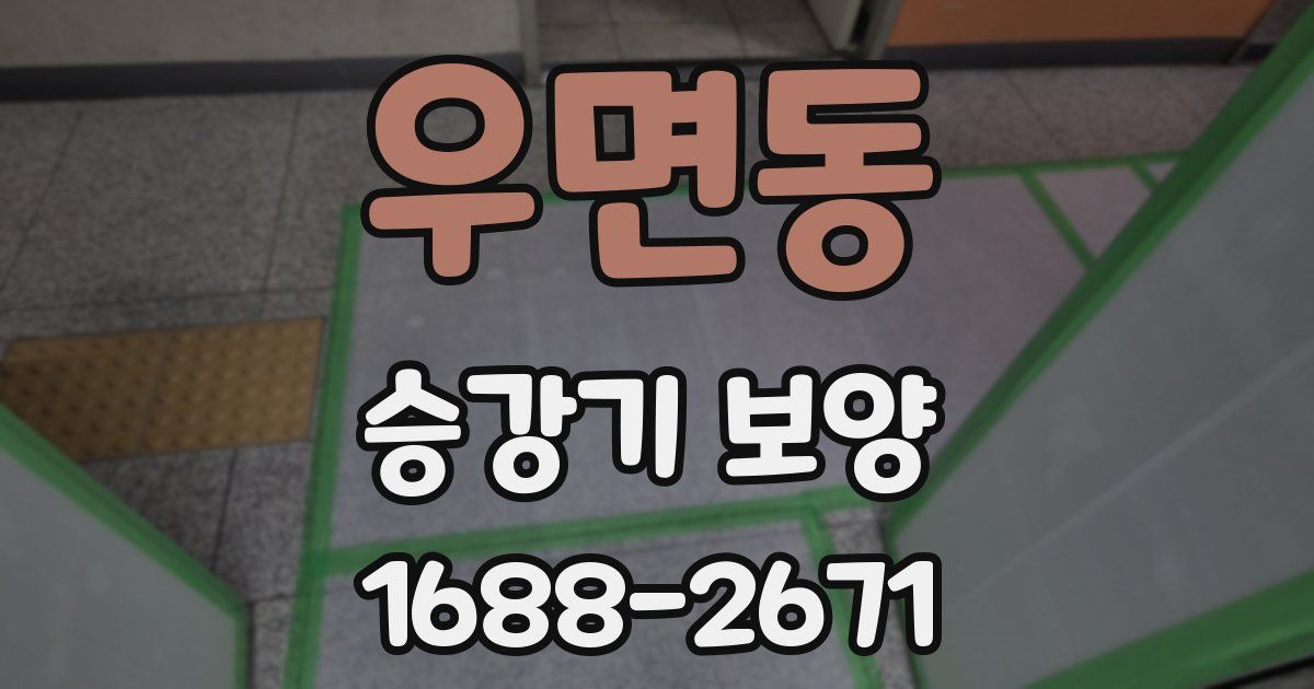 우면동 승강기 보양