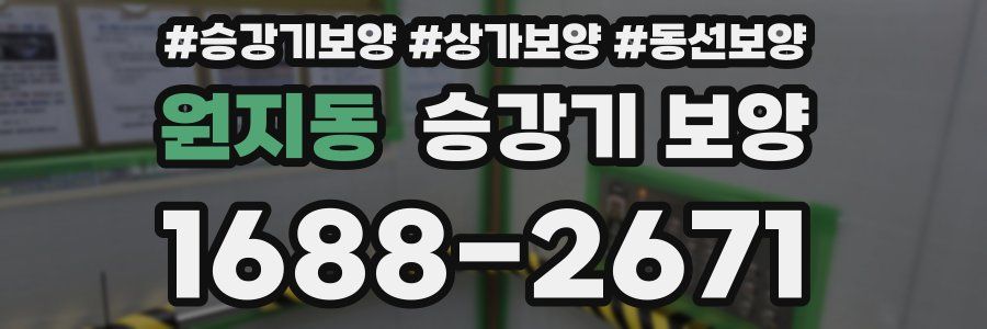 원지동 승강기 보양