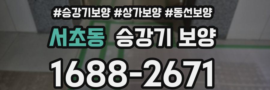 서초동 승강기 보양
