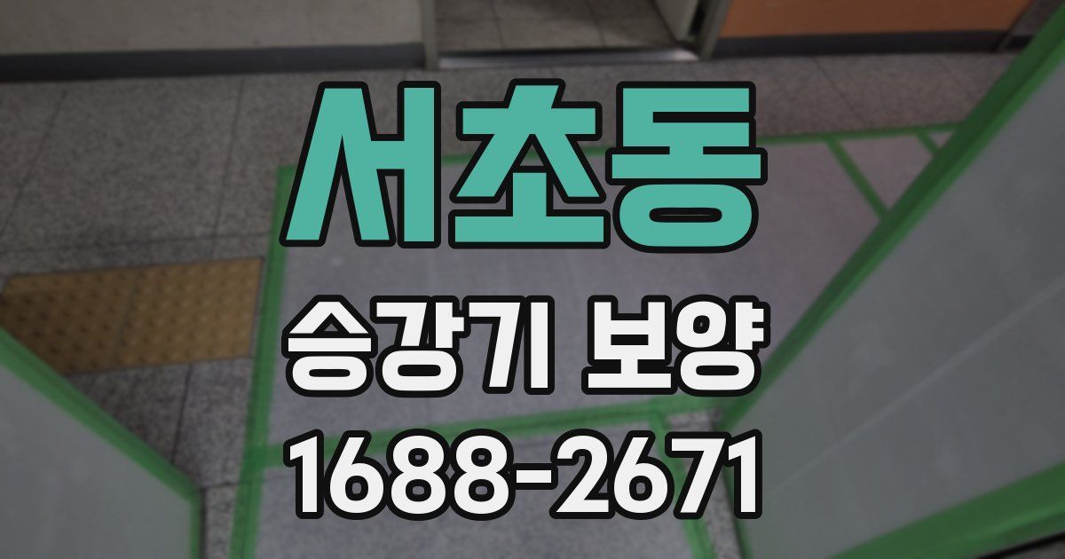 서초동 승강기 보양