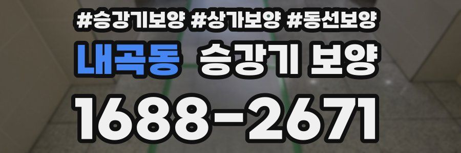 내곡동 승강기 보양