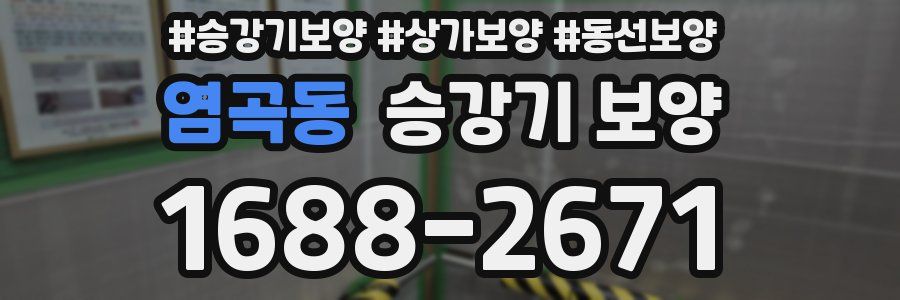 염곡동 승강기 보양