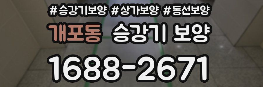 개포동 승강기 보양