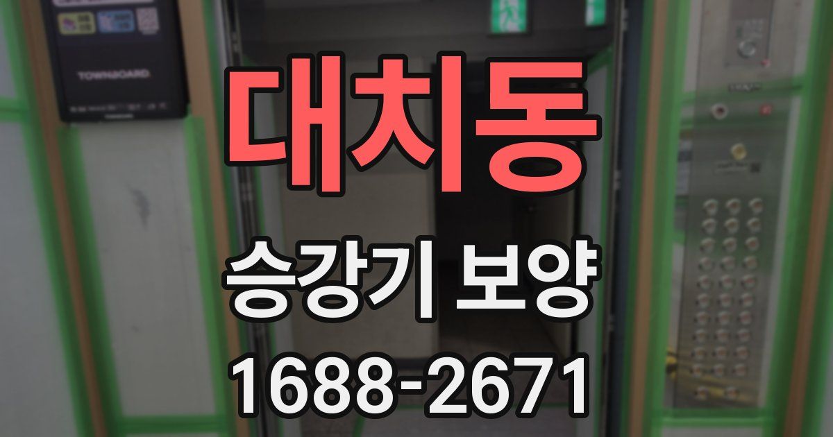 대치동 승강기 보양