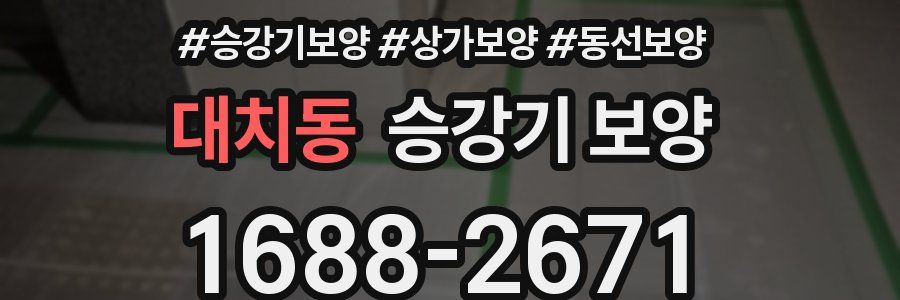 대치동 승강기 보양