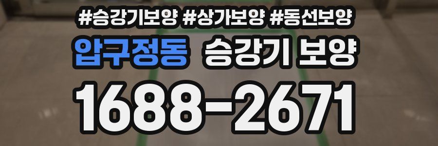 압구정동 승강기 보양