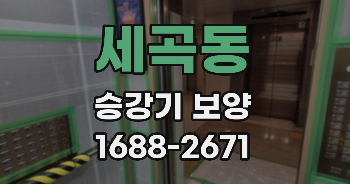 세곡동 승강기 보양