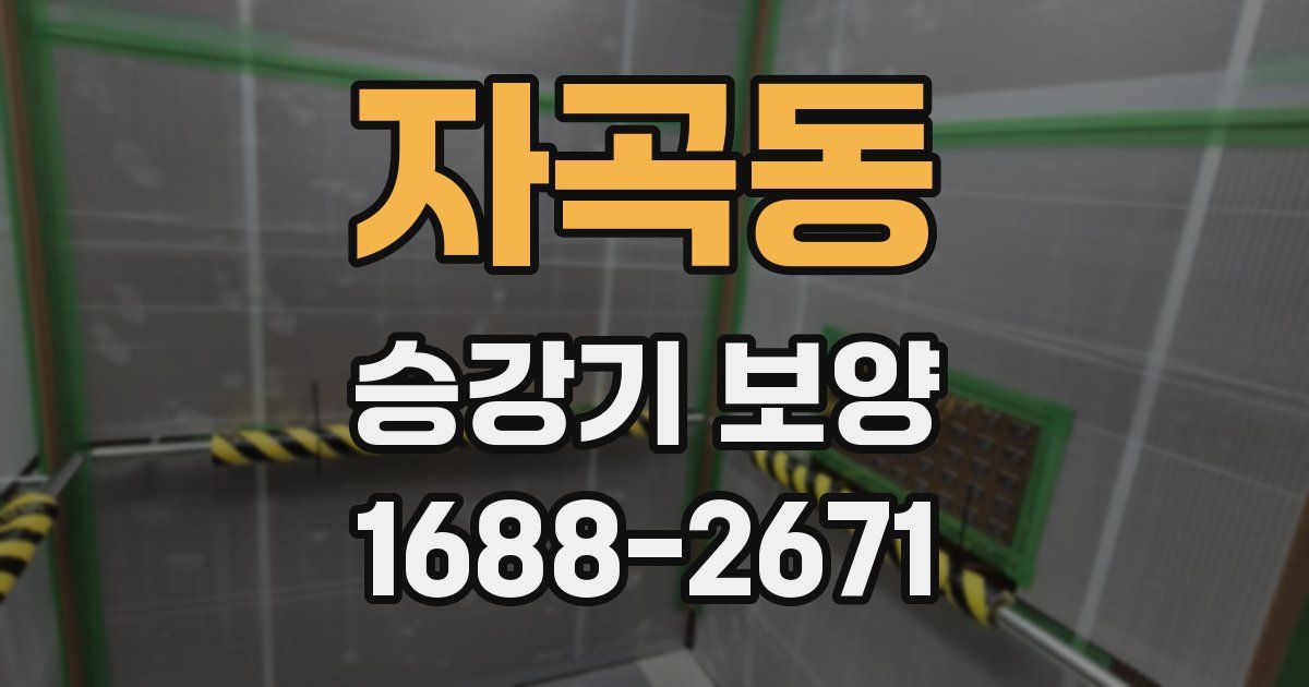 자곡동 승강기 보양