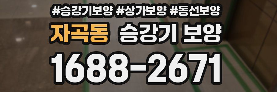 자곡동 승강기 보양