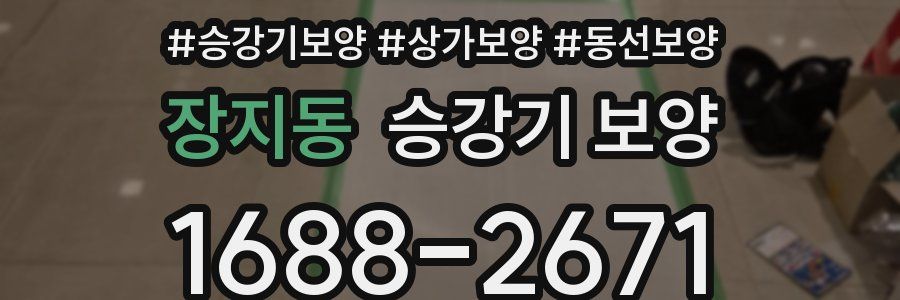 장지동 승강기 보양