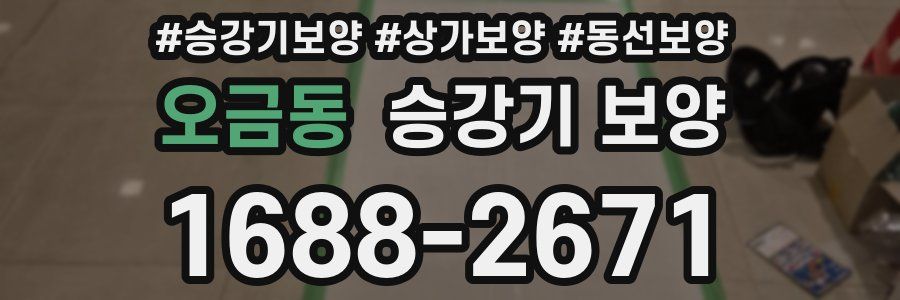 오금동 승강기 보양