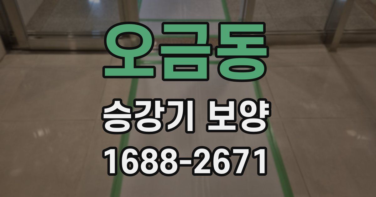 오금동 승강기 보양