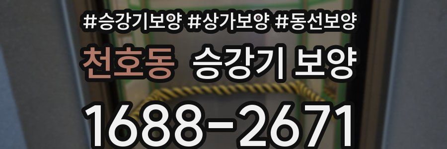 천호동 승강기 보양