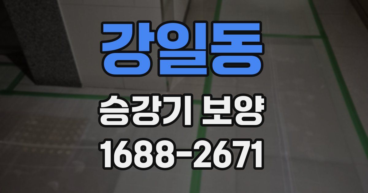 강일동 승강기 보양