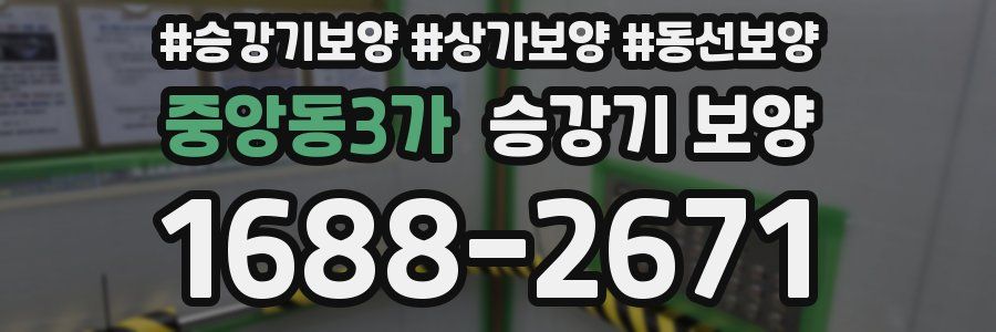중앙동3가 승강기 보양