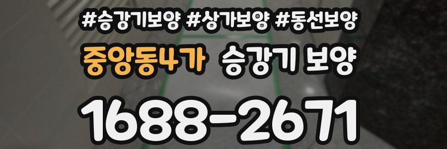 중앙동4가 승강기 보양
