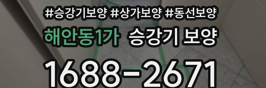 해안동1가 승강기 보양