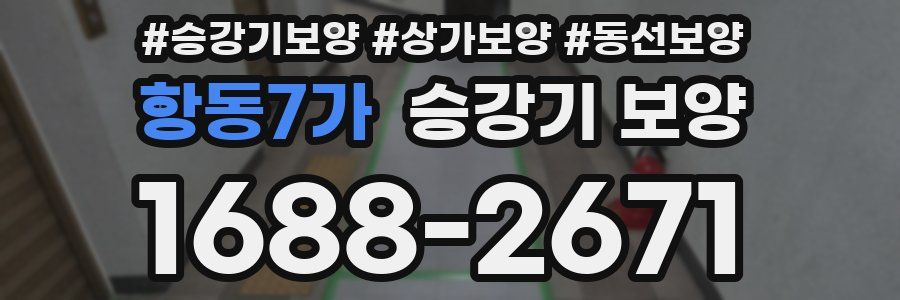 항동7가 승강기 보양