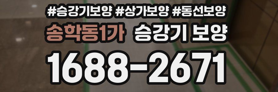 송학동1가 승강기 보양