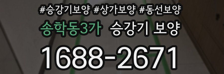 송학동3가 승강기 보양
