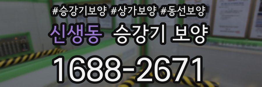 신생동 승강기 보양