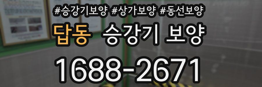답동 승강기 보양