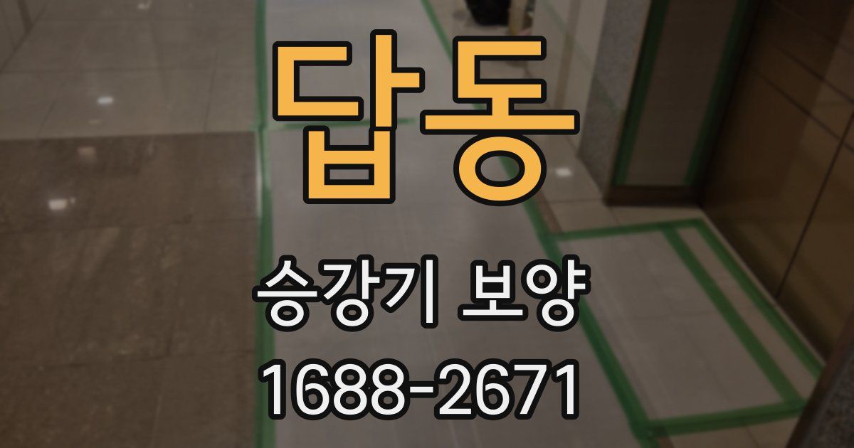 답동 승강기 보양