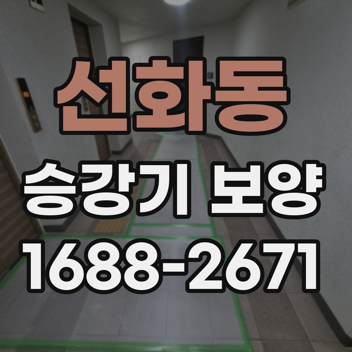 선화동 승강기 보양
