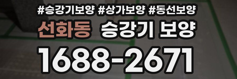 선화동 승강기 보양